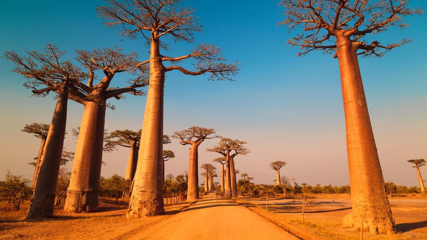 Morondava