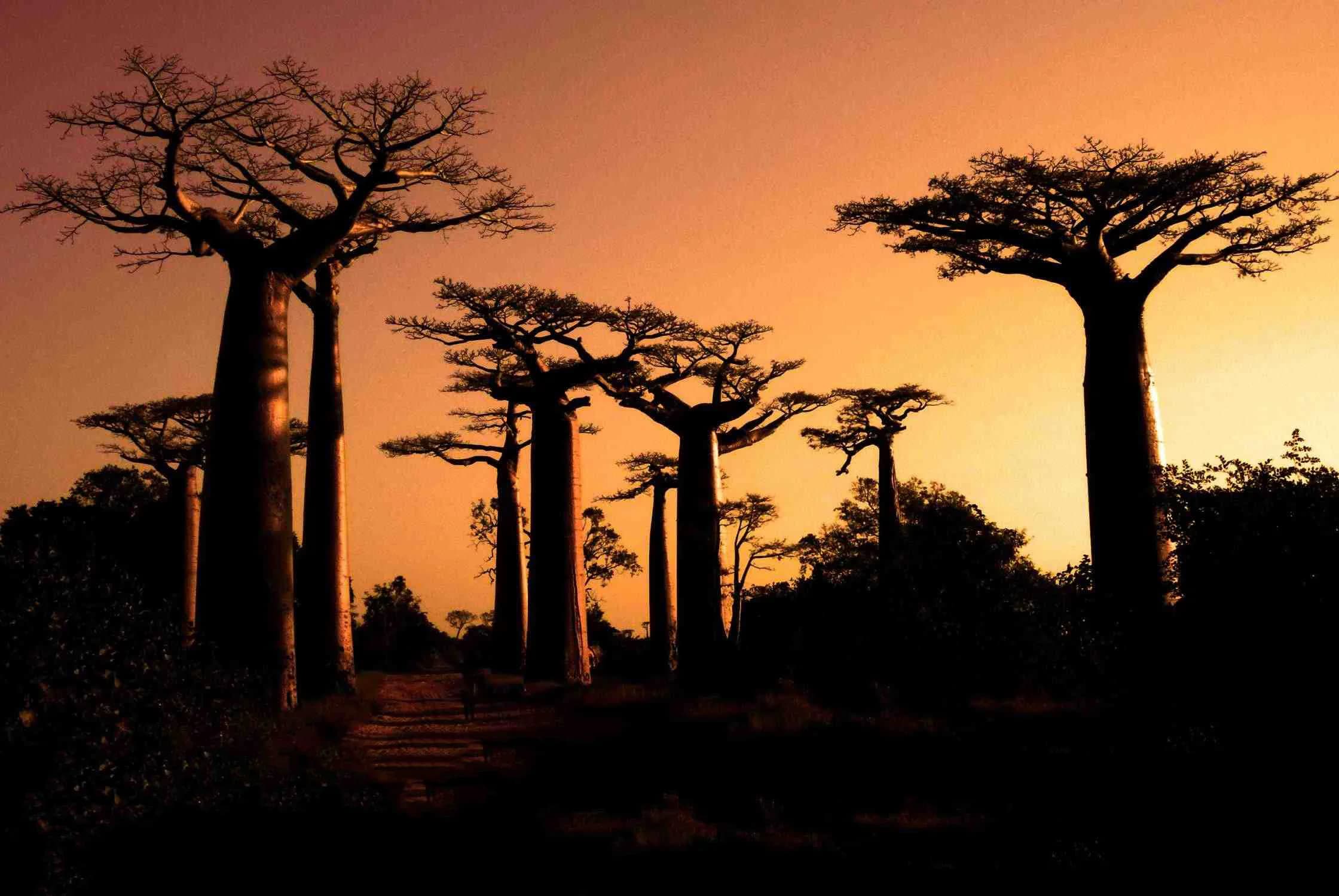 Tourisme Madagascar